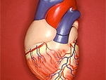 Rischio cardiovascolare: come combatterlo