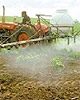 Cocktail di pesticidi. Le nostre analisi su frutta e verdura