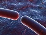 Antibiotici: come e quando usarli