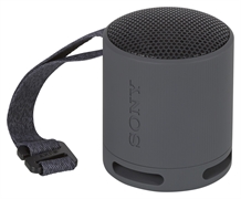SONY SRS-XB100
