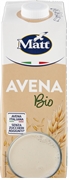 MATT AVENA BIO
