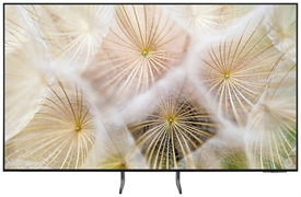 SAMSUNG QE55S85HAEXZT