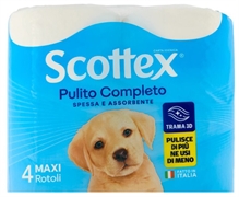 SCOTTEX PULITO COMPLETO
