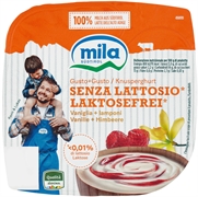 MILA Gusto + Gusto - SENZA LATTOSIO - VANIGLIA E LAMPONI