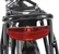 BOTTECCHIA BE15 LADY 26”