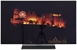 LG OLED48C65LA