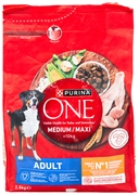 PURINA ONE MEDIUM MAXI ADULT