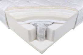 LORDFLEX’S LADY MEMORY