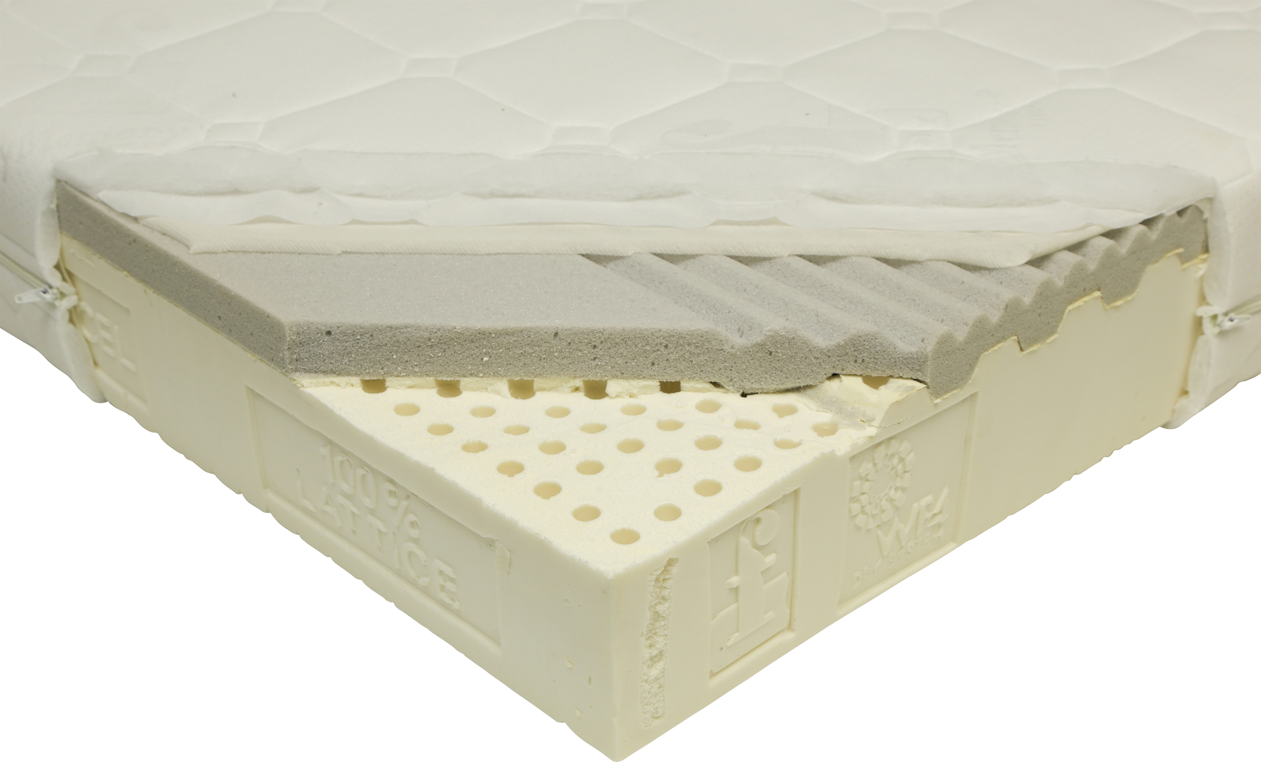 FABRICATORE BODY MEMORY PLUS